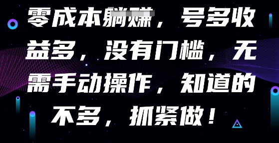 零成本全自动,号多收益多,没有门槛,无需手动-多多副业站