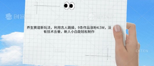 AI养生赛道新玩法，10条作品涨粉5.2W，操作简单，新人小白能轻松制作-多多副业站