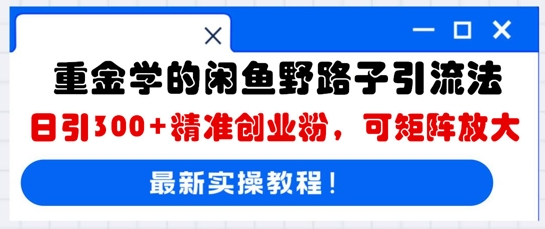 重金学的闲鱼野路子引流法，日引300+精准创业粉，可矩阵放大-多多副业站