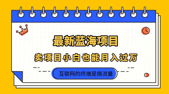 （14289期）2025年最新蓝海项目，卖项目小白也能月入过万-多多副业站