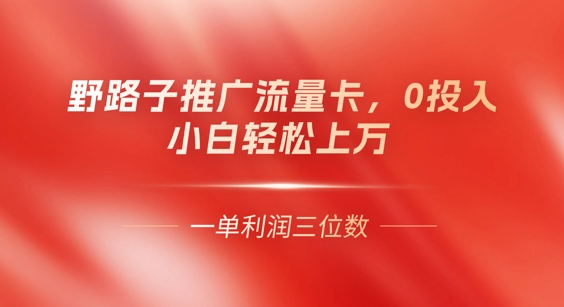 0门槛推广流量卡，一单收益上百，0投入，小白月入过W-多多副业站