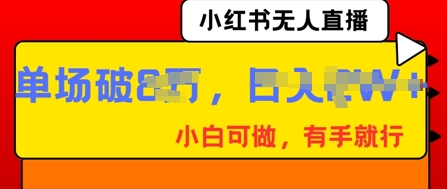 小红书无人直播，纯小白可做，有手就行，单场直播销售额破8w-多多副业站