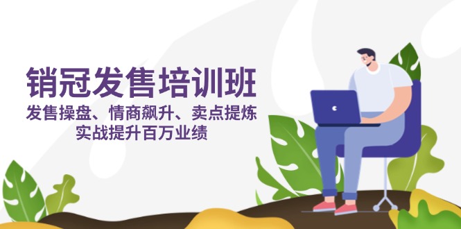 （14203期）销冠 发售培训班：发售 操盘+情商 飙升+卖点 提炼，实战提升百万业绩-多多副业站