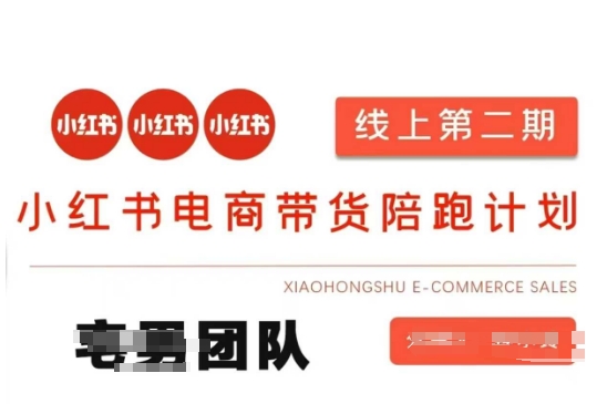 小红书电商带货课2期，月利润20个的小红书电商的有货源，无货源，虚拟产品，付费投流等整套玩法-多多副业站