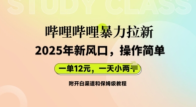 哔哩哔哩暴力拉新:2025年新风口,一单12元,一天数张(附开白渠道和保姆级教程)-多多副业站